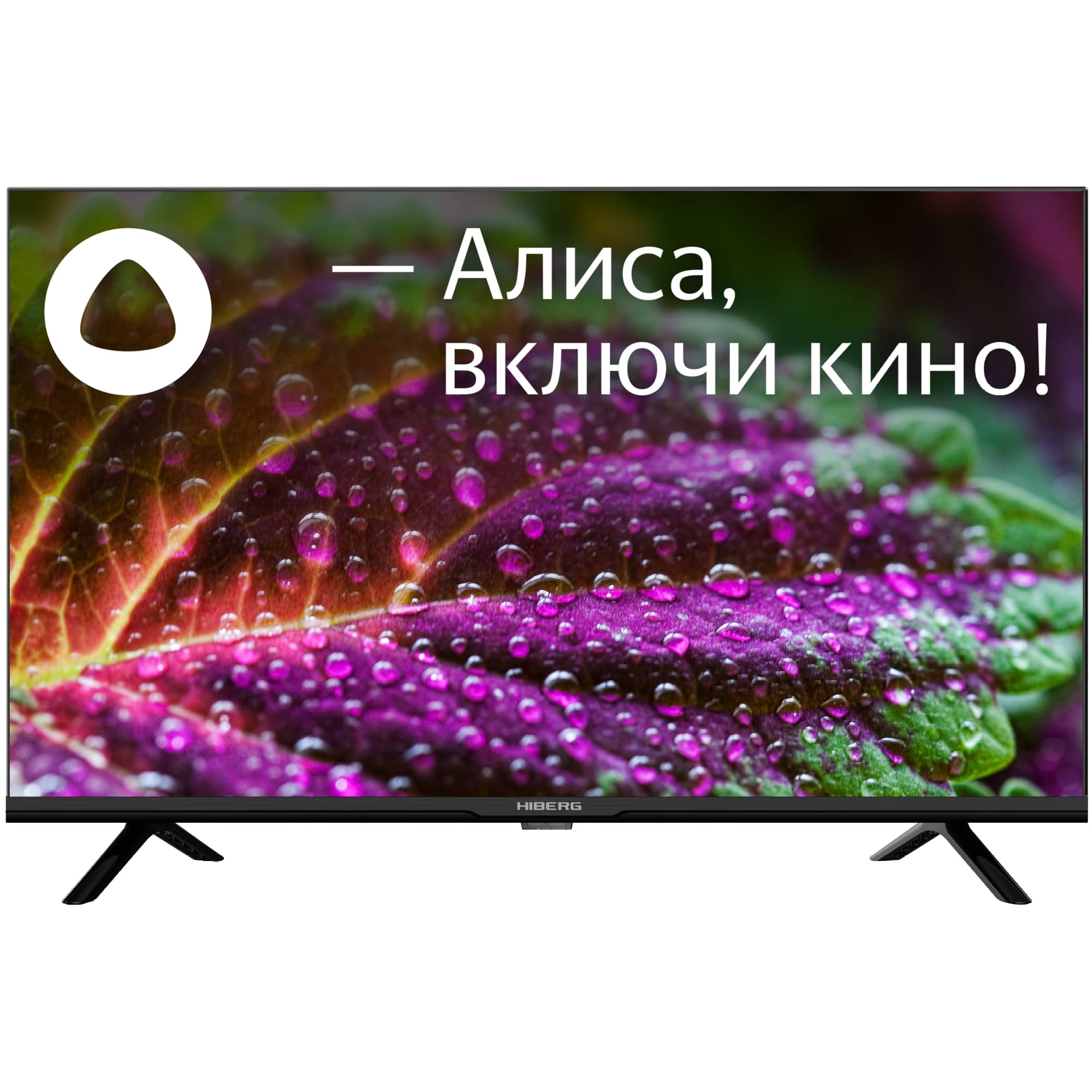 картинка Телевизор Hiberg 32Y HD-R  
