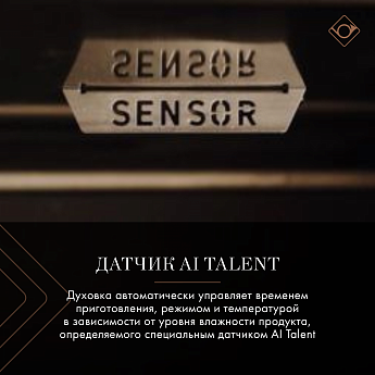 картинка Электрический духовой шкаф De Dietrich DOP4755MB MASTER BLACK 