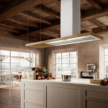 картинка Кухонная вытяжка Elica BIO ISLAND WH/A/120х53 ROVERE 