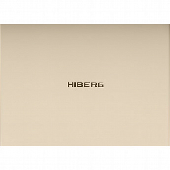 картинка Кухонная вытяжка Hiberg VM 6091 Y 